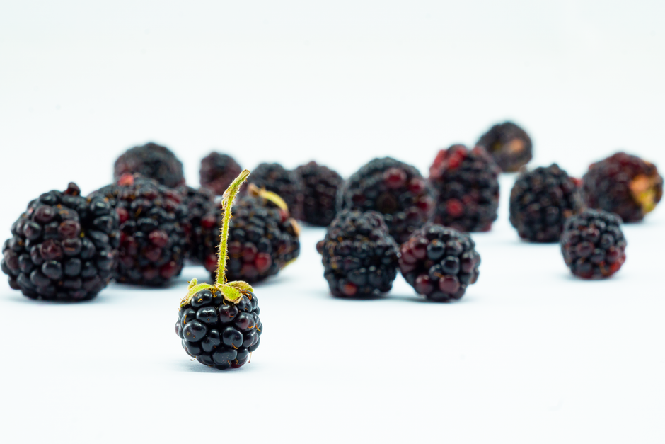 BlackBerry Ruled Then Disappeared — A crisp image of fresh, juicy blackberries on a clean, white background.